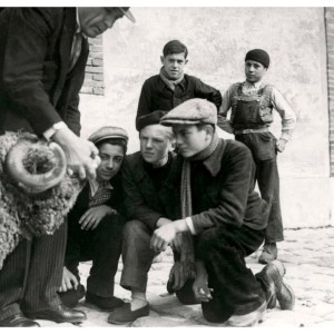 histoire bergerie