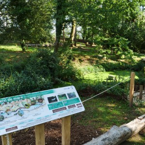 jardin montorgueil