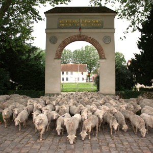 patrimoine vivant