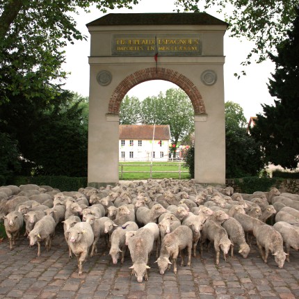 patrimoine vivant