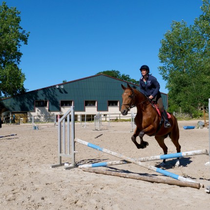 Saut obstacle grande carriere