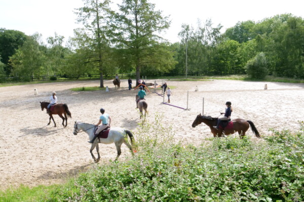 Petite carrière