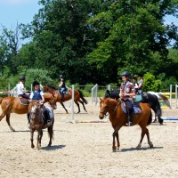 poney club