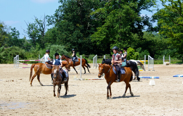 poney club