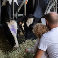 L'animation à la Bergerie nationale - Rambouillet - Yvelines