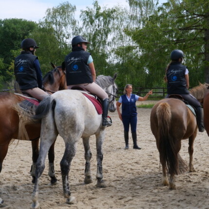 formation equitation