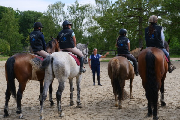 formation equitation
