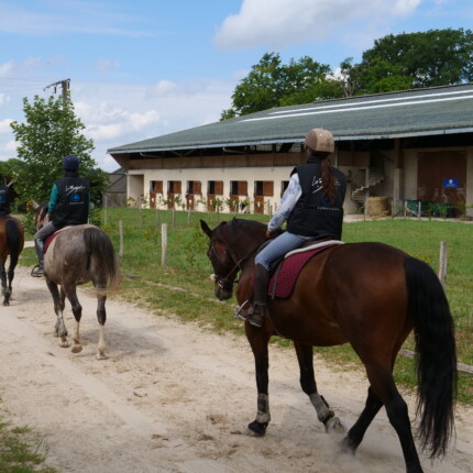 Grand manege exterieur cheval