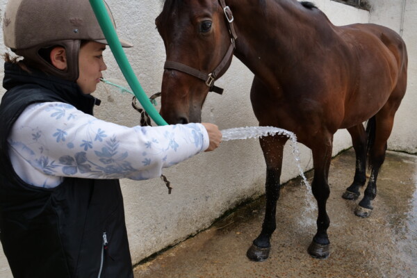 Douche cheval
