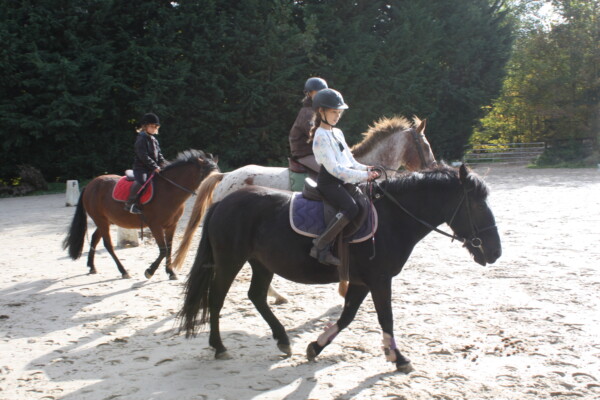 poney club