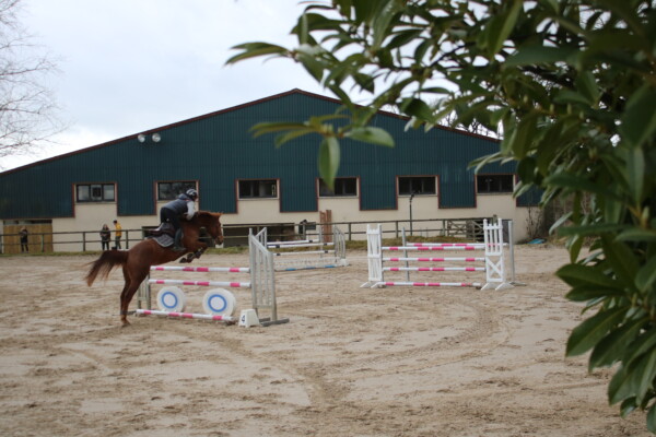 Saut obstacle grande carriere