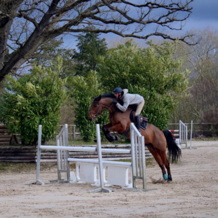 Saut obstacle grande carriere
