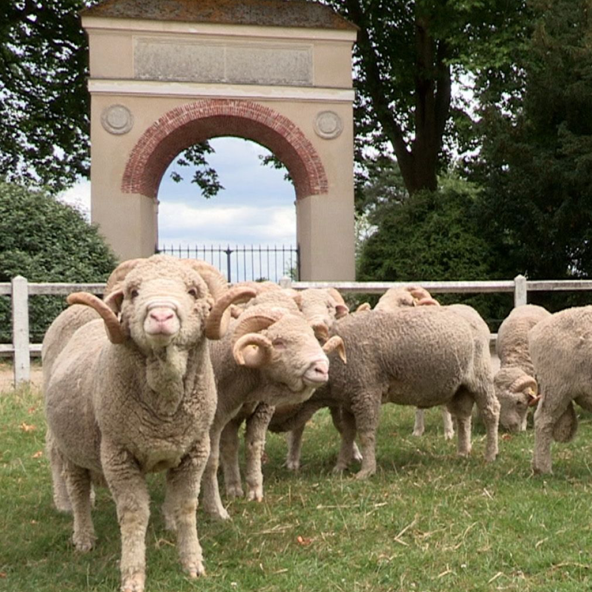 Salon Ramboli’Vins - Bergerie nationale - Rambouillet - Yvelines