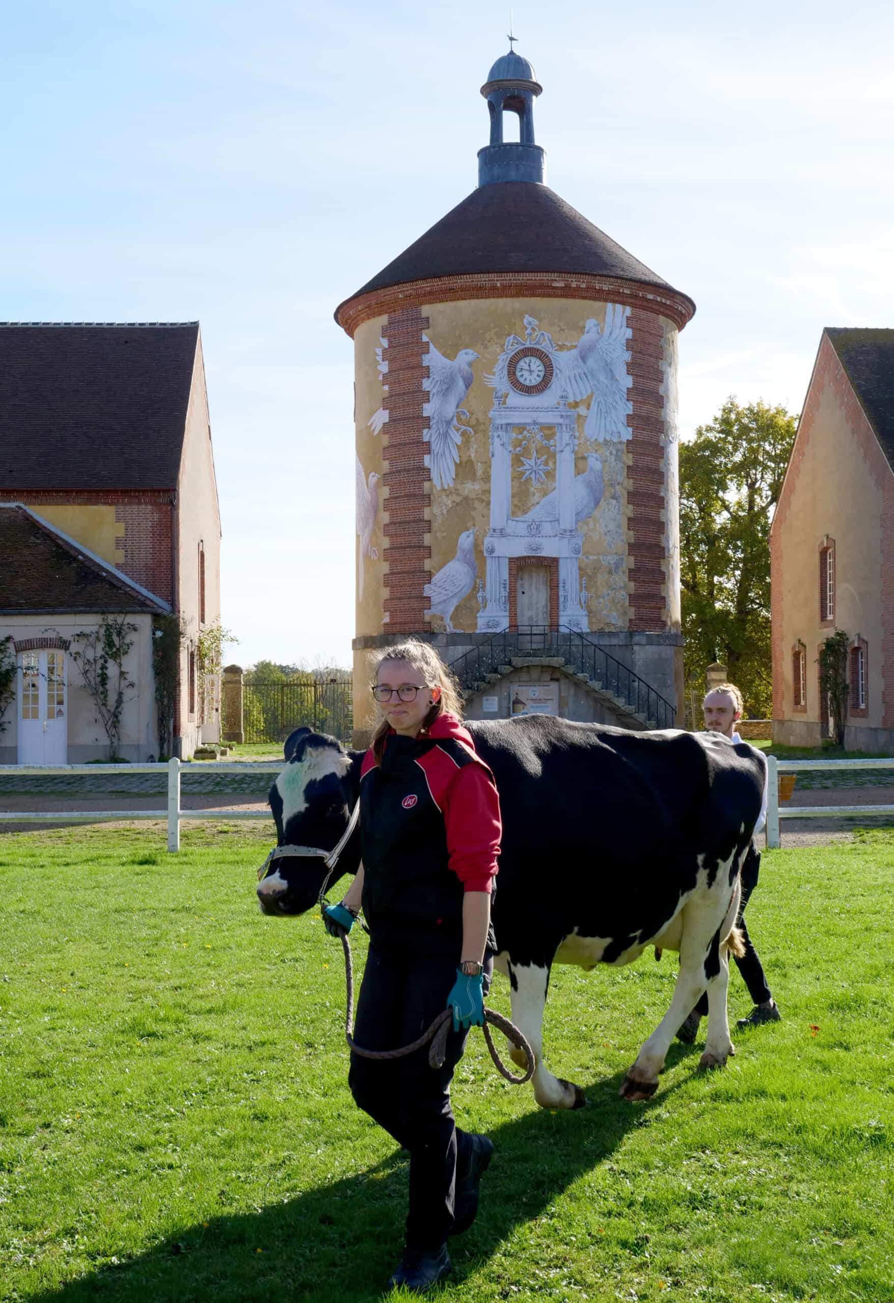 Formations à la Bergerie Nationale de Rambouillet