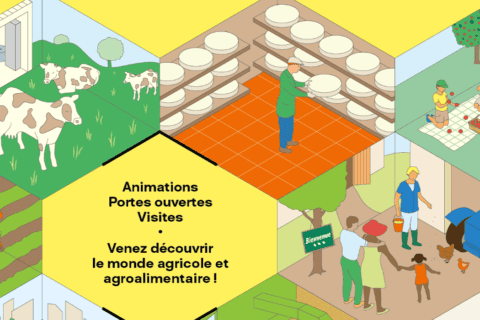 vignette JNA