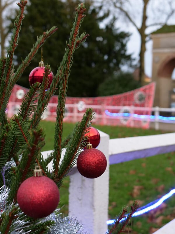 Bergerie fête Noël 2024