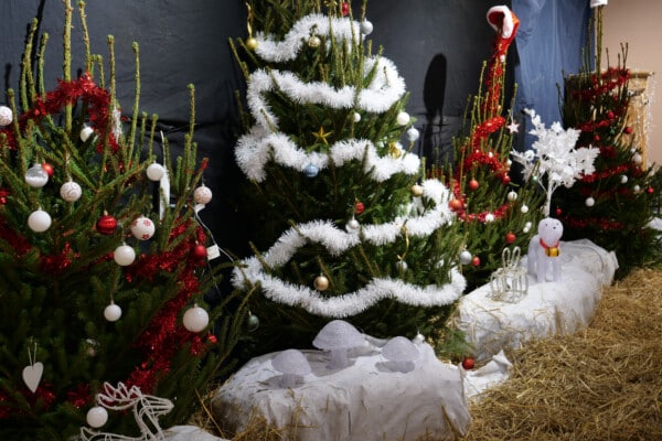 Bergerie fête Noël 2024
