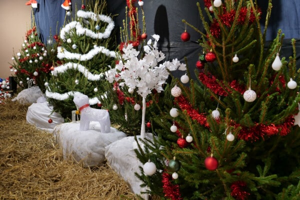 Bergerie fête Noël 2024