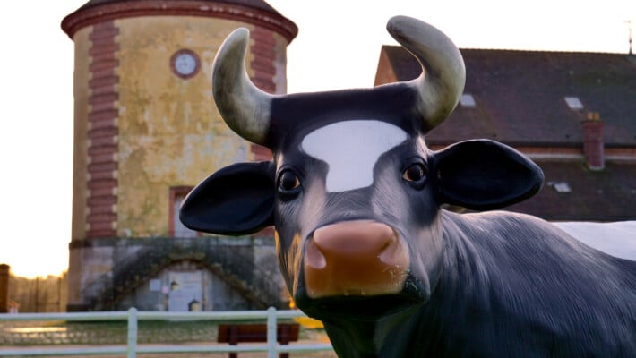 Oh la vache