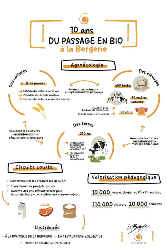 SCHEMA BIO