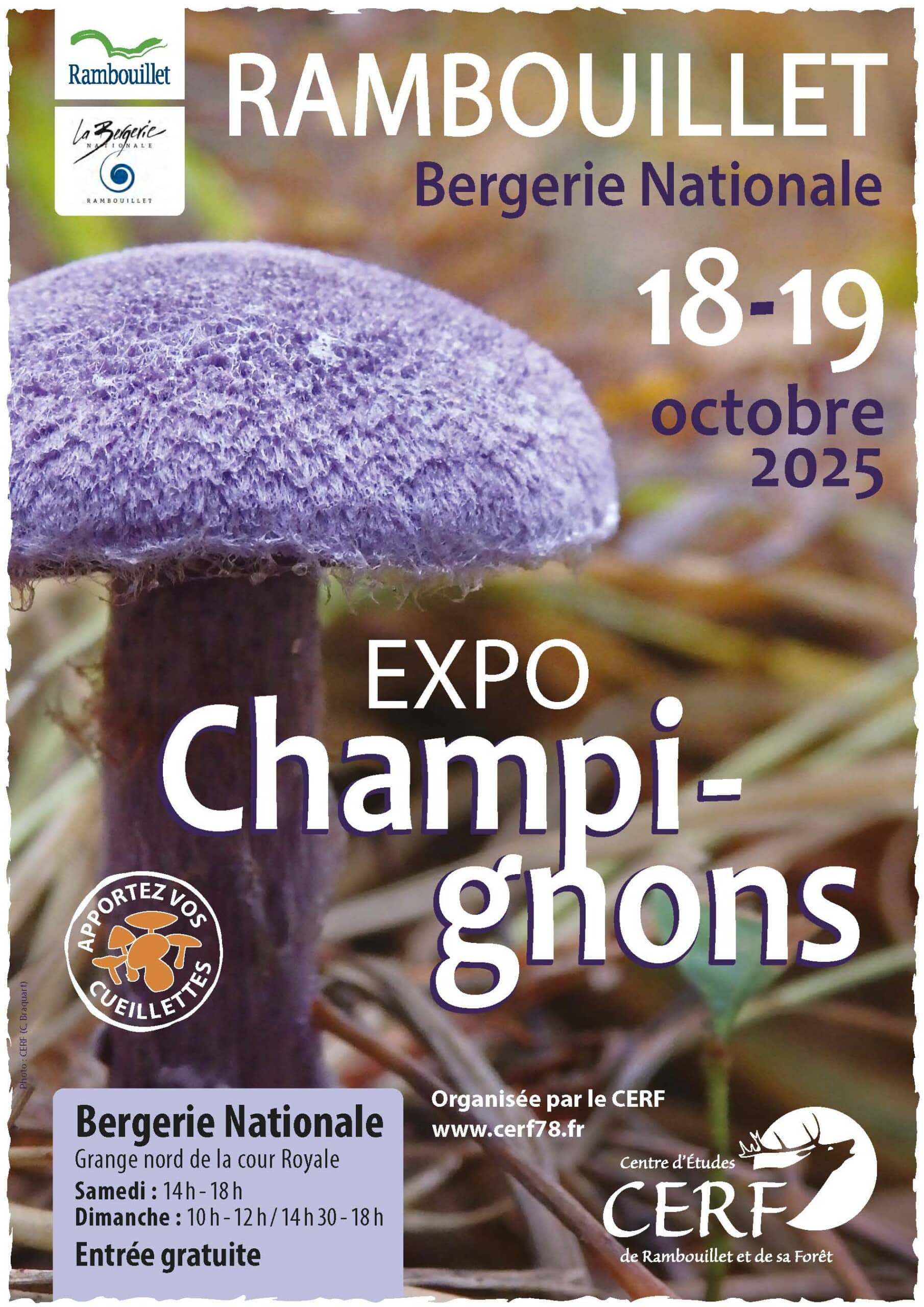 Affiche Expo champi