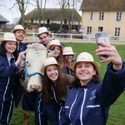 TIEA apprenant vache