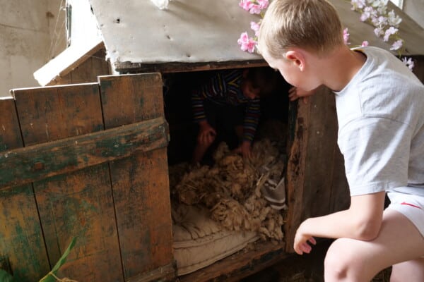 chasse aux oeufs