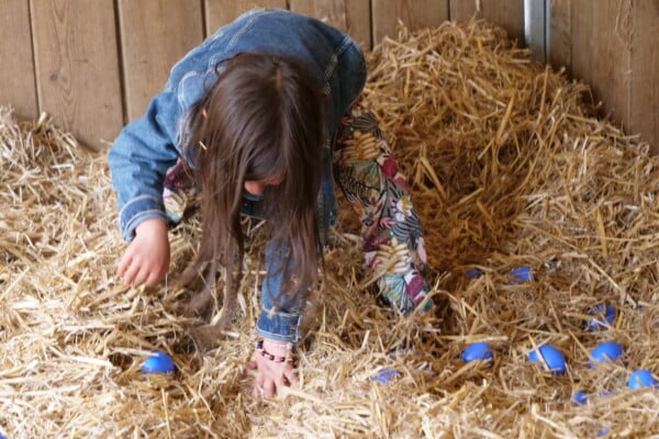 chasse aux oeufs