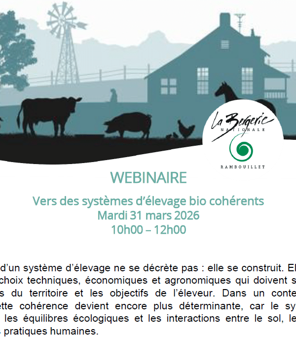 vignette webinaire 7