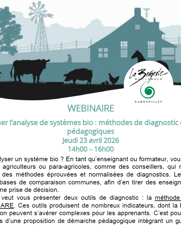 vignette webinaire 8