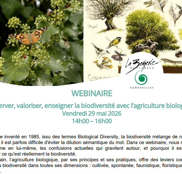 vignette webinaire ab9