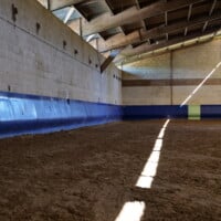 Petit manege
