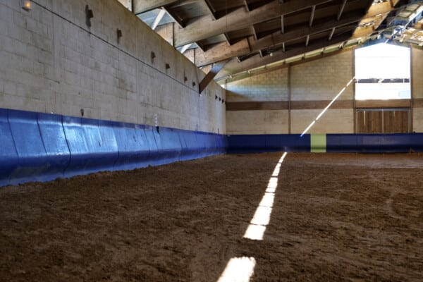 Petit manege