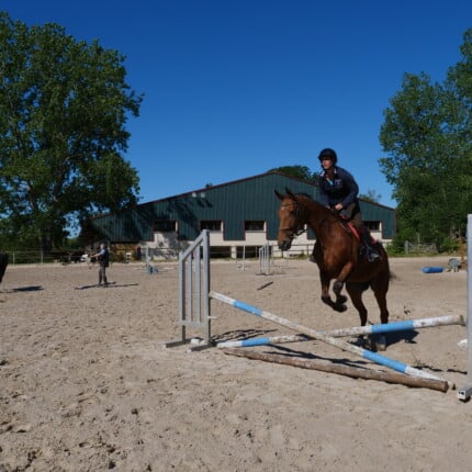 Saut obstacle grande carriere