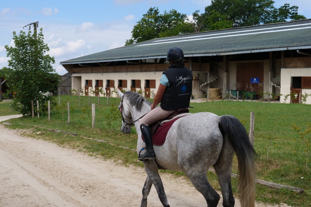 Grand manege exterieur cheval