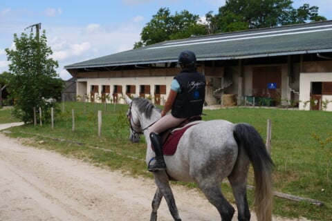 Grand manege exterieur cheval