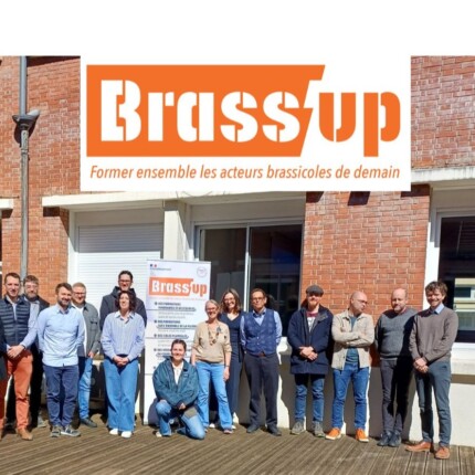 pastille brassup